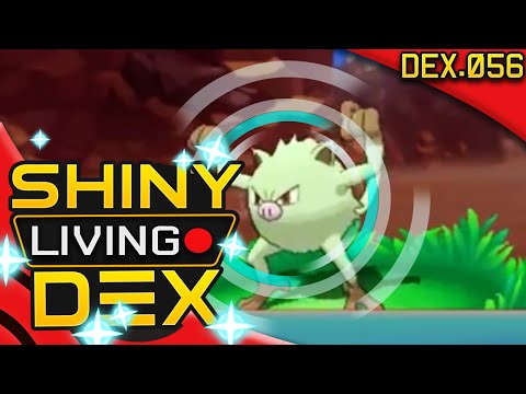 SHINY MANKEY! Live Reaction! Quest For Shiny Living Dex #056 | Pokemon ORAS