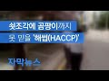 자막뉴스 쇳조각도 안 거르고 곰팡이 득실…못 믿을 ‘해썹 haccp ’ kbs뉴스 news