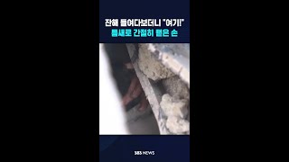 틈새로 간절히 뻗은 손 #shorts