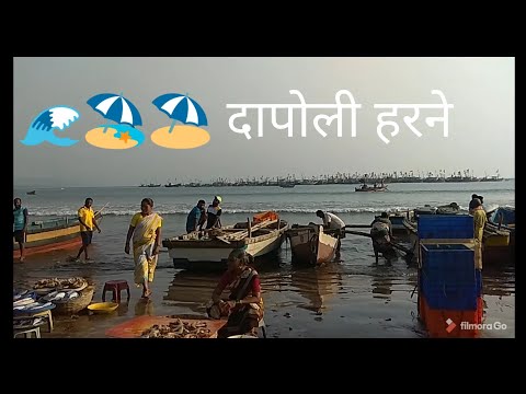 Harne beach🌊🏖️⛱️ Dapoli,kokan