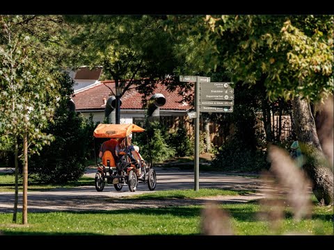 Weerterbergen | Parkvideo | Weert, Limburg (NL), Nederland