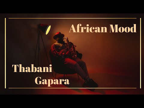 Thabani Gapara - African Mood (Live Performance)