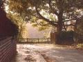 Осенний Дождь, Osenniy Dozhd (The Autumn Rain) - Levon ...