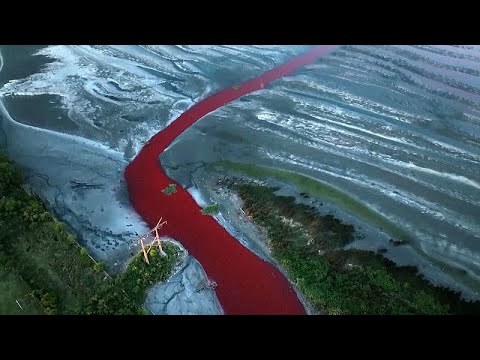 Brasilien: Roter Fluss weckt Ängste vor Verschmutzung