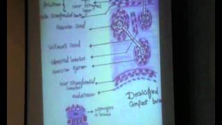 Dr .Dalia - cartilage & bone1 -29/2