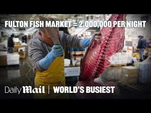 America’s Largest Fish Market Moves 2,000,000 lbs of Fish Nightly | World’s Busiest | Daily Mail