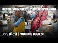 America S Largest Fish Market Moves 2 000 000 Lbs Of Fish Nightly World S Busiest Daily Mail