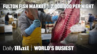 America’s Largest Fish Market Moves 2,000,000 lbs of Fish Nightly | Wo