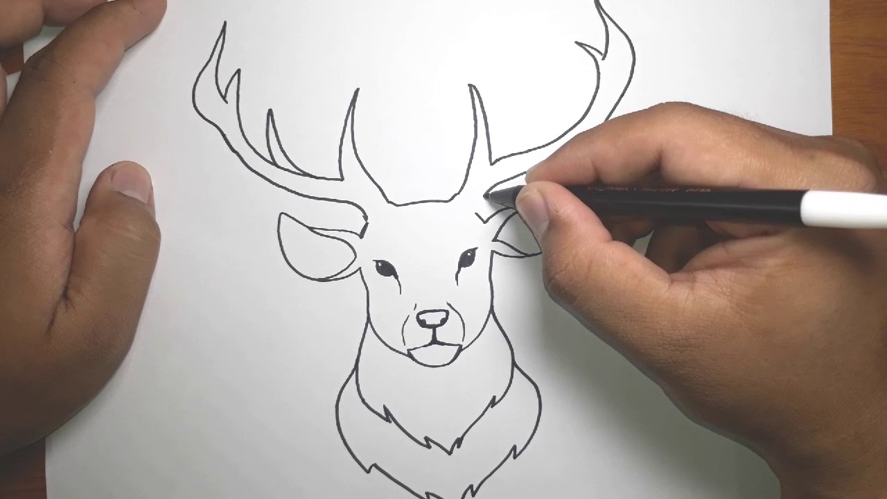 How to draw Easy Deer Head