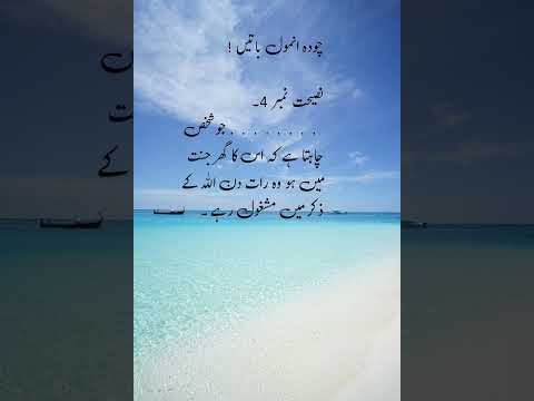 Islami Talimat #islamiworld #deenislam