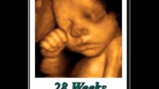 preview picture of video 'Fetal Vision Imaging 2010 The Ultimate 3D/4D Experience'