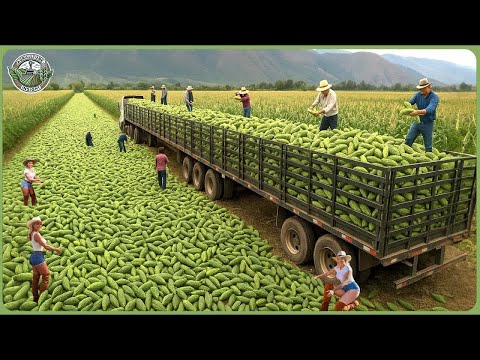 The 2025 Harvest Rush - How Farmers Reap 9.8 Billion Tons of Crops In Massive Harvests