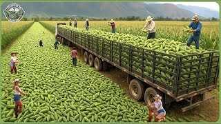 The 2025 Harvest Rush - How Farmers Reap 9.8 Billion Tons of Crops In Massive Harvests MQDEFAULT Thumbnail