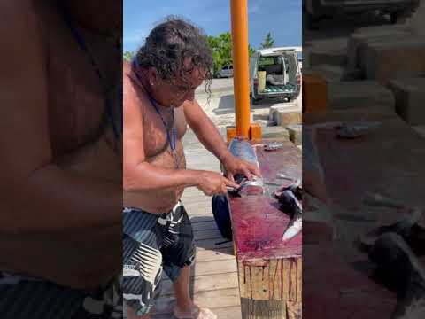 The Maduro Brothers Staking A Wahoo at Rodgers Beach, Aruba!