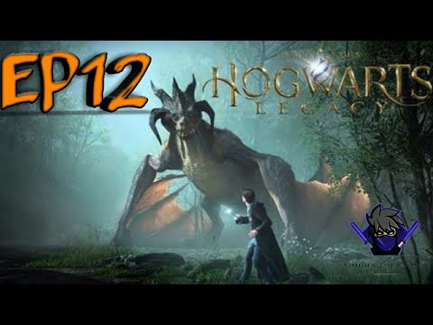 HOGWARTS LEGACY Gameplay Walkthrough Part 12 FULL GAME - (No Commentary)