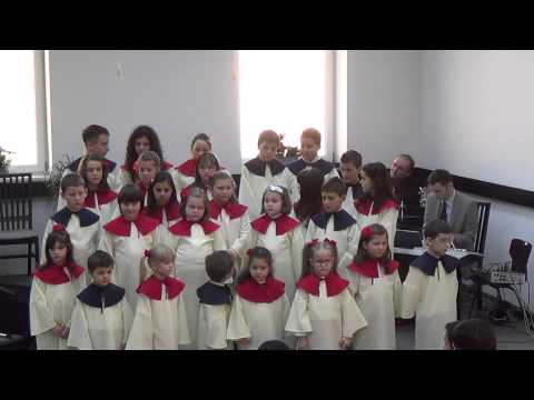 Biserica Baptista Unu Sighet