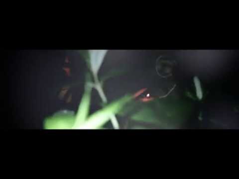 Teknique - Guideline Perfection