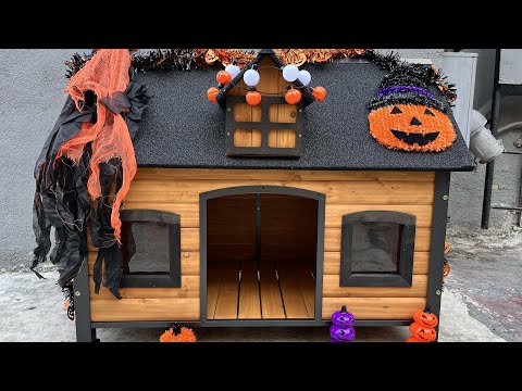 Aivituvin AIR90 Premium Wooden Dog House  Iron Frame and Asphalt Roof