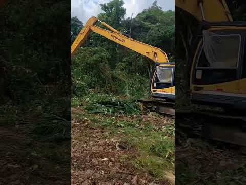 Description or Alt Text