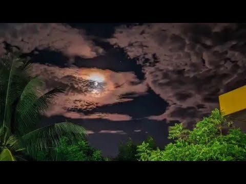 Something to lose Reggae Remix 🔥