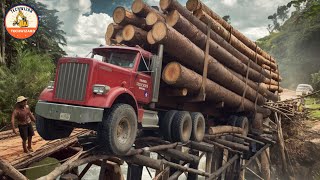 Giant Logging Trucks in Action, Witness the Extremely Dangerous Hands #59