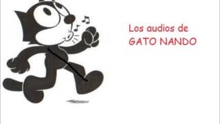 Gato Nando & Amigos - It's hurt me too