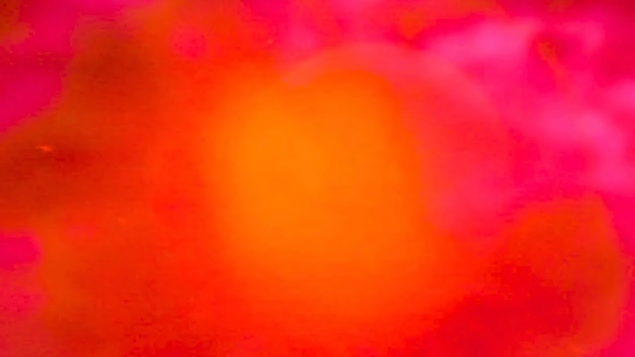 Disgusting girls will be skeletons