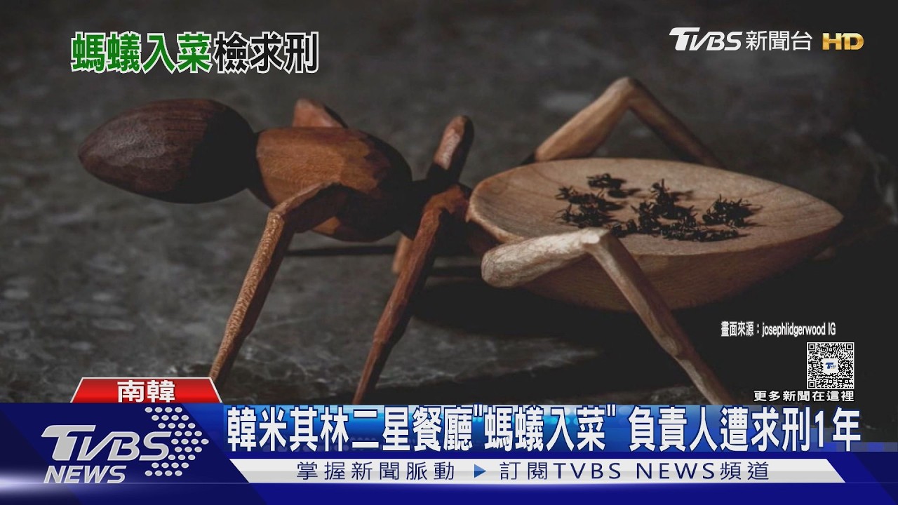 影音／韓米其林二星餐廳「螞蟻入菜」負責人遭起訴　主廚曾出演黑白大廚