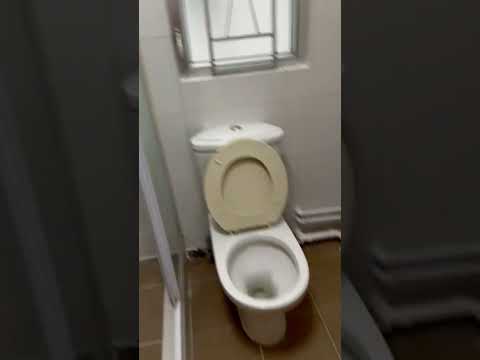 Wyler Garden Youtube Video