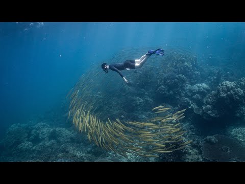 Freediving SeastayThailand 2020 Surin island