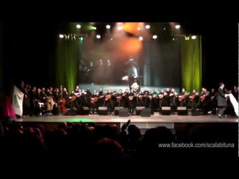 Scalabituna - Noites de Verão (XVI TUIST)