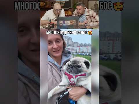 Многоскладочный барбос🥰