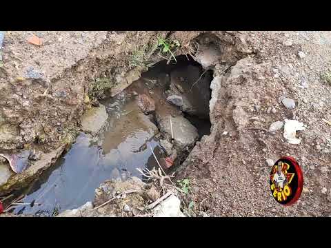 PROJETO VOMIT NA FAVELA DA CONCEIÇÃO ÁGUA PODRE .
