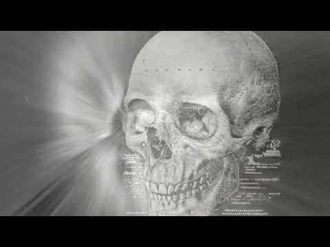 Institut de Radio Protection - Institutet / A Fukkin Alien