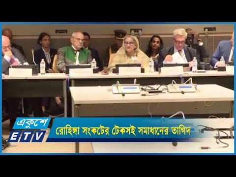 রোহিঙ্গা সংকট টেকসই সমাধানের তাগিদ প্রধানমন্ত্রীর