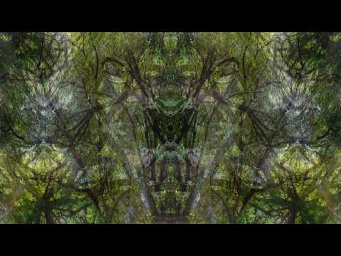 Rita Raga - Synesthesia (Panda On The Bamboo Tree Remix) | Chill Space