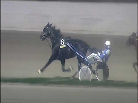 Trotto 27/12/2019 - 8ª corsa