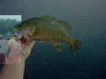Misfish Show