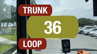 Go-Ahead Trunk 36 | Bus Service Route Visual