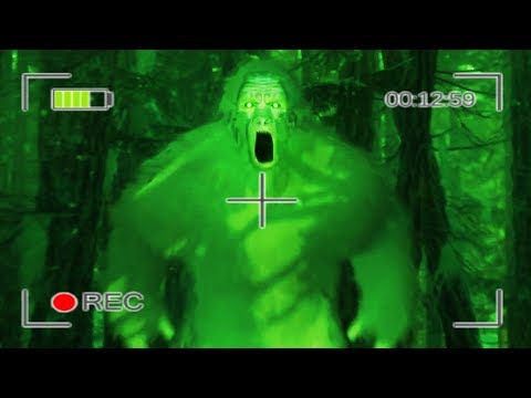 In diesem Wald wohnt BIGFOOT !! | Bigfoot