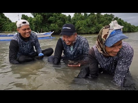 EP784-P1 - Pangunguha ng Bilaog | Occ. Mindoro