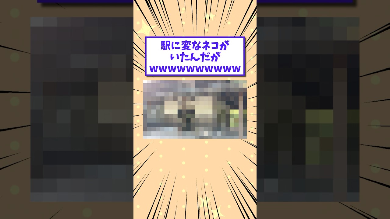 【2ch面白いスレ】駅に変なネコがいたんだがwwwwwwwww #shorts #2ch #2chスレ #2ch面白いスレ