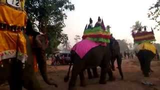 preview picture of video 'Parade of Elephants in Xayabouly, Laos'