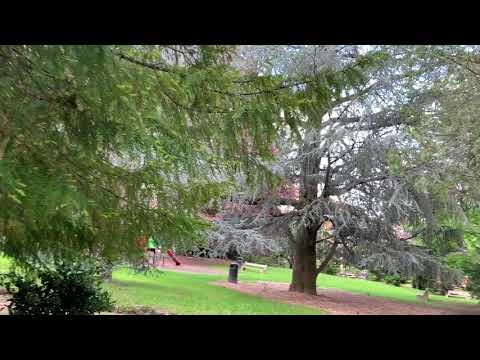 Riaprono i parchi di Varese