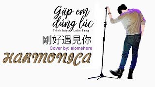 Download lagu [Harmonica] Gặp em đúng lúc - Luân Tang | 剛好遇見你 - 伦桑 | cover by alomehere mp3