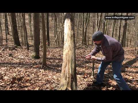 Will a 3.5oz saw fell a BIG tree?