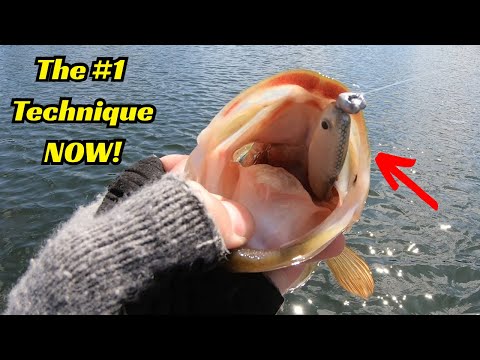 Is This The Best Cold Water Technique For Big Bass?