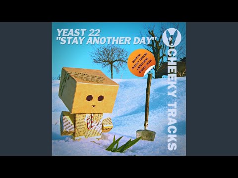 Stay Another Day (Catchy Radio Edit)