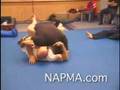 Dan Severn Teaches Ground & Pound for NAPMA