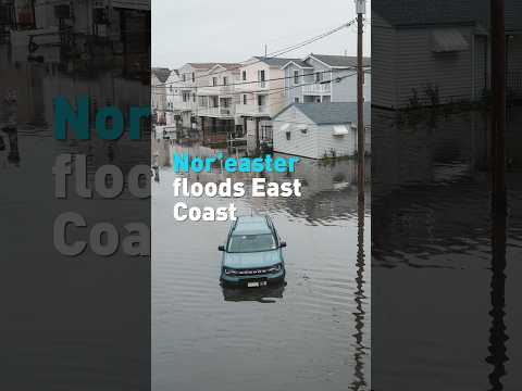 Northeast cities trudge through floodwaters after powerful nor'easter